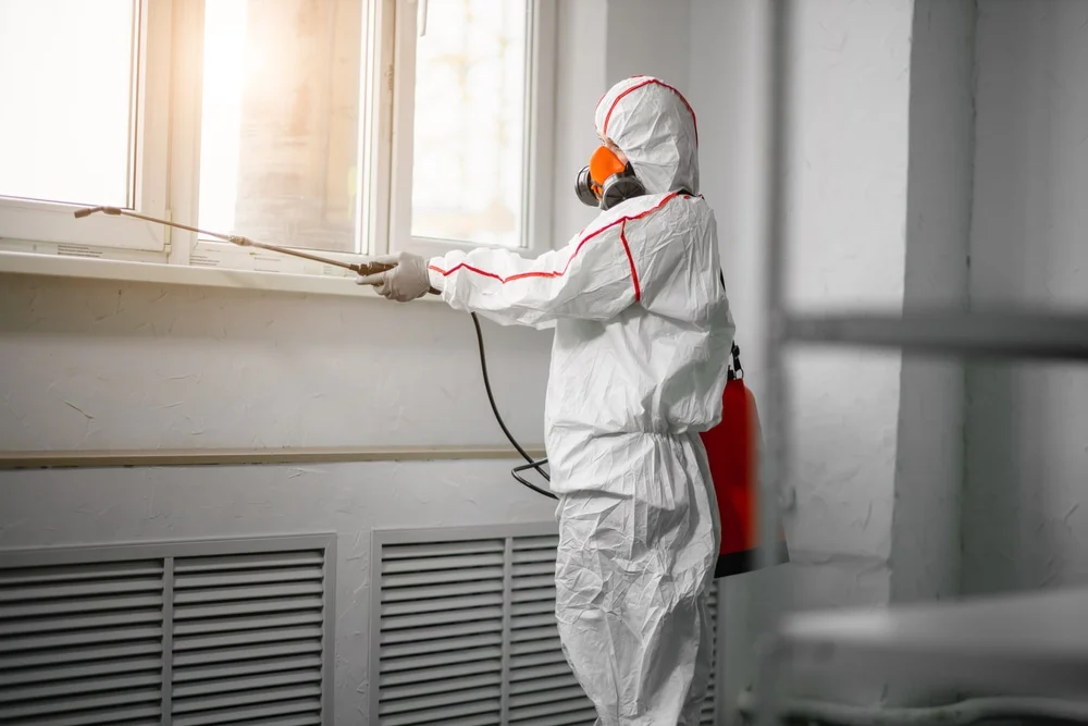 Professional mold remediation services in Sunderland, MD